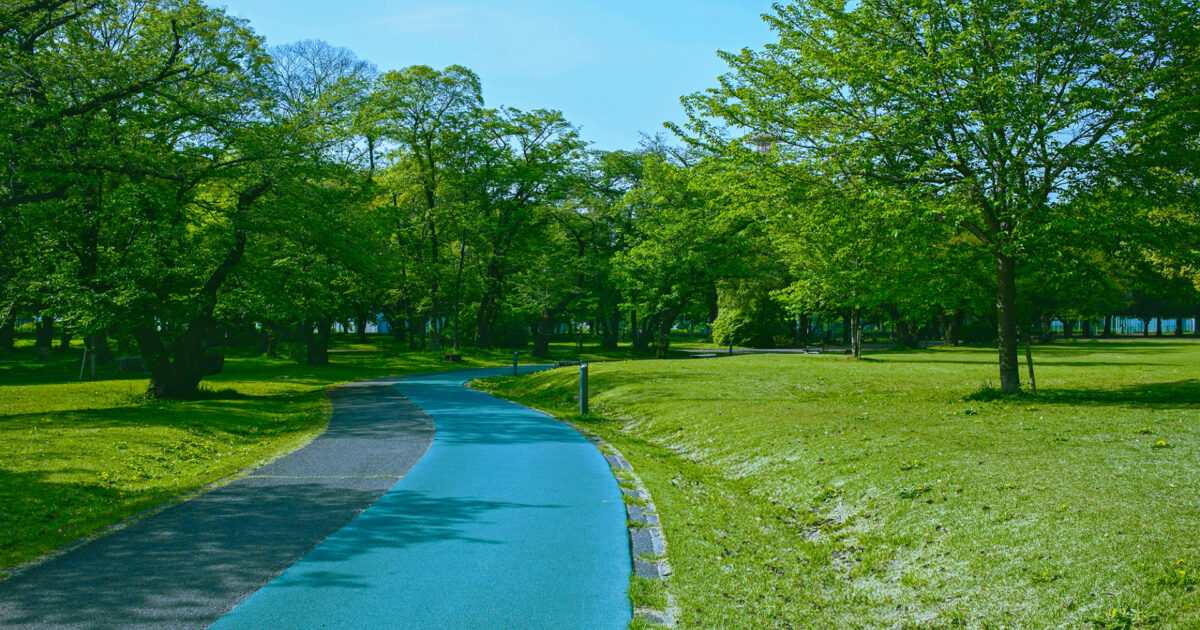 青空と木々が並ぶ公園の遊歩道